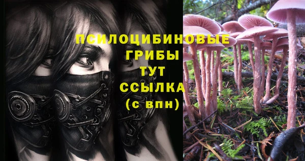 героин Верея